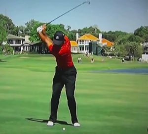 tigerwoodsshortwide